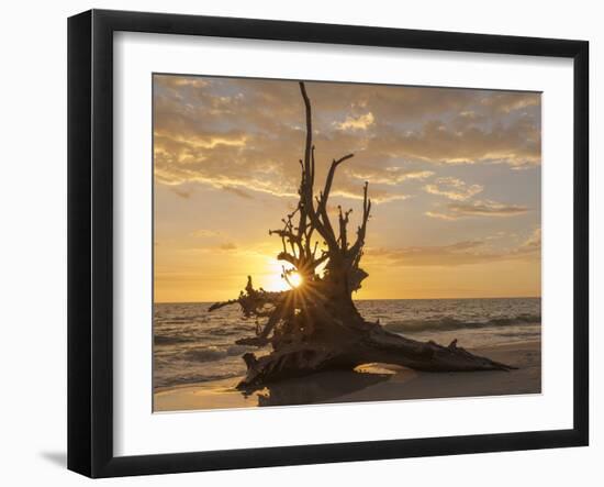 Sunset at Lovers Key State Park, Florida-Maresa Pryor-Framed Photographic Print