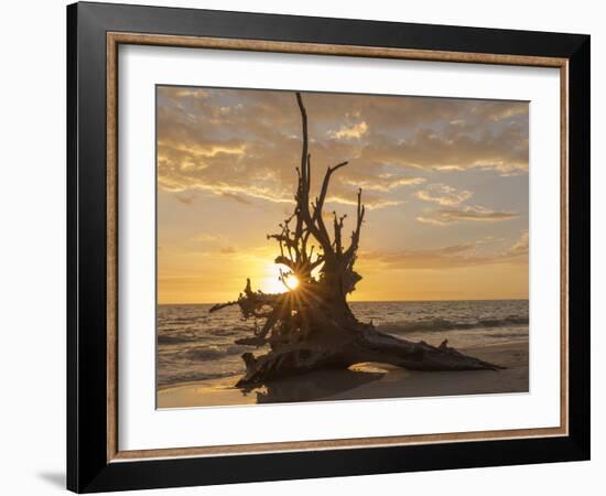 Sunset at Lovers Key State Park, Florida-Maresa Pryor-Framed Photographic Print