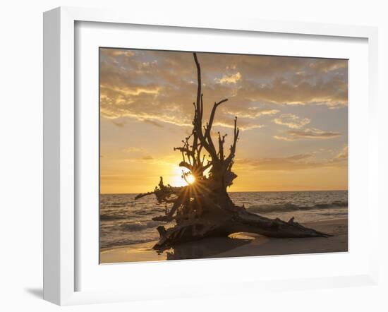 Sunset at Lovers Key State Park, Florida-Maresa Pryor-Framed Photographic Print