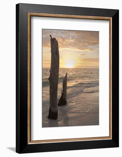 Sunset at Lovers Key State Park, Florida-Maresa Pryor-Framed Photographic Print