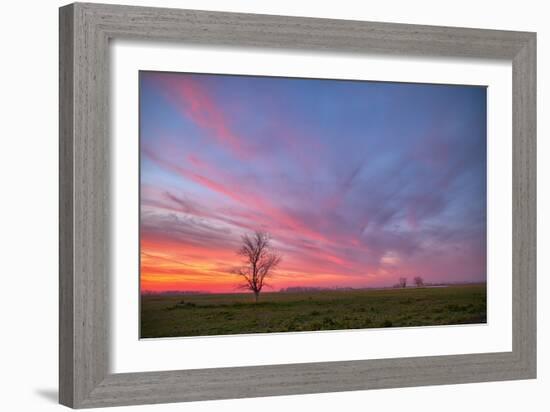 Sunset at Merced Wildlife Area, Central California-null-Framed Photographic Print