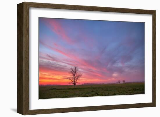 Sunset at Merced Wildlife Area, Central California-null-Framed Photographic Print