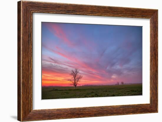 Sunset at Merced Wildlife Area, Central California-null-Framed Photographic Print