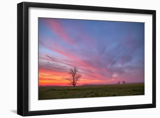 Sunset at Merced Wildlife Area, Central California-null-Framed Photographic Print