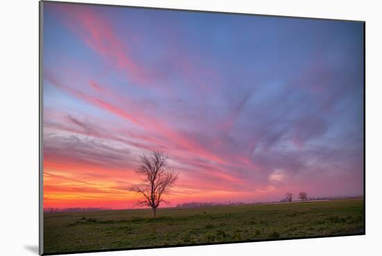 Sunset at Merced Wildlife Area, Central California-null-Mounted Photographic Print