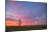 Sunset at Merced Wildlife Area, Central California-null-Mounted Photographic Print