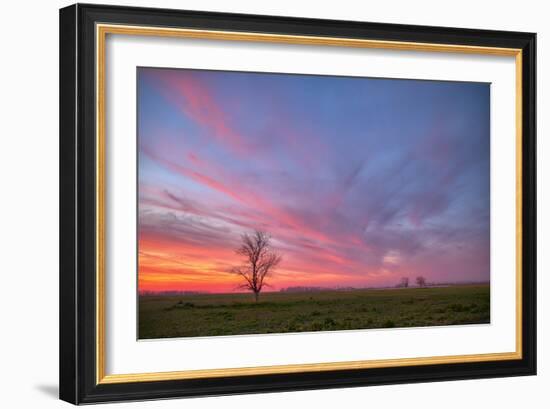 Sunset at Merced Wildlife Area, Central California-null-Framed Photographic Print