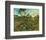 Sunset at Montmajour-Vincent van Gogh-Framed Premium Giclee Print