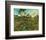 Sunset at Montmajour-Vincent van Gogh-Framed Premium Giclee Print