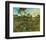 Sunset at Montmajour-Vincent van Gogh-Framed Premium Giclee Print