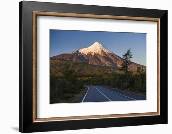 Sunset at Osorno Volcano, Vicente Perez Rosales National Park, Chilean Lake District, Chile-Matthew Williams-Ellis-Framed Photographic Print