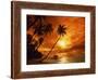 Sunset at Pigeon Point, Tobago, Caribbean-Terry Why-Framed Photographic Print