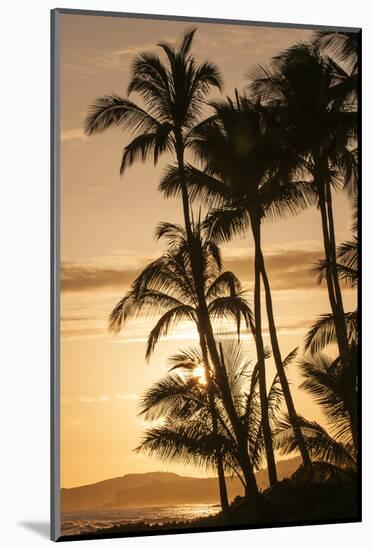 Sunset at Poipu Beach, Kauai, Hawaii-Michael DeFreitas-Mounted Photographic Print