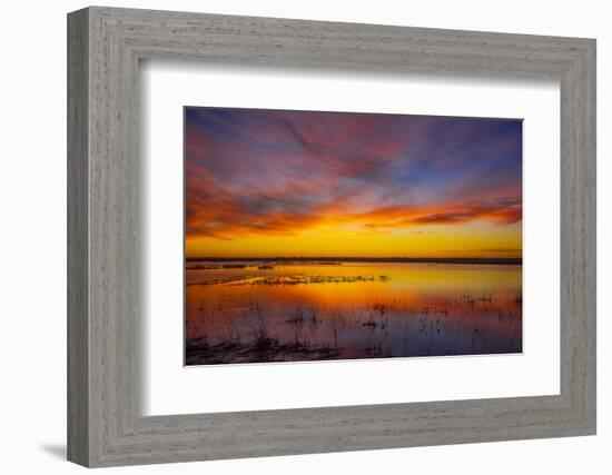 Sunset at Quivira National Game Refuge-Michael Scheufler-Framed Photographic Print