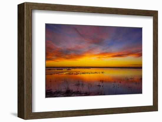 Sunset at Quivira National Game Refuge-Michael Scheufler-Framed Photographic Print