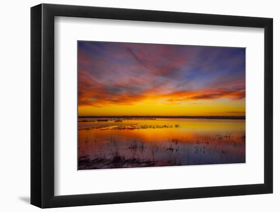 Sunset at Quivira National Game Refuge-Michael Scheufler-Framed Photographic Print