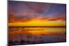 Sunset at Quivira National Game Refuge-Michael Scheufler-Mounted Photographic Print