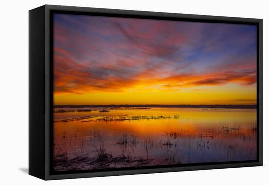 Sunset at Quivira National Game Refuge-Michael Scheufler-Framed Premier Image Canvas