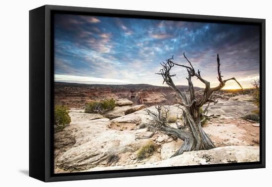 Sunset at Remote Canyon on Public Land in Utah-Matt Jones-Framed Premier Image Canvas