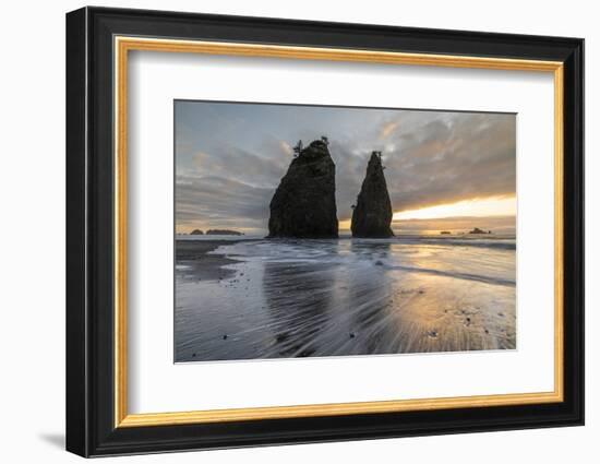 Sunset at Rialto Beach, La Push, Clallam county, Washington State-francesco vaninetti-Framed Photographic Print