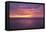 Sunset at Sea-Karyn Millet-Framed Premier Image Canvas