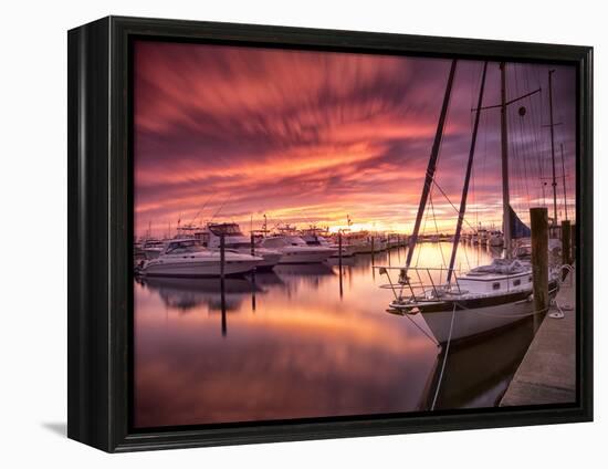 Sunset at Stuart Marina, Florida-Frances Gallogly-Framed Premier Image Canvas