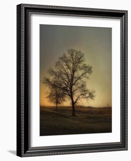 Sunset at the Cotton Field-Jai Johnson-Framed Giclee Print