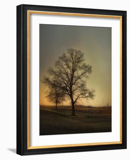 Sunset at the Cotton Field-Jai Johnson-Framed Giclee Print