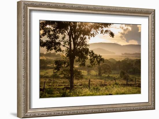 Sunset at the Gate of a Bonito Farm, with Rolling Hills in the Background-Alex Saberi-Framed Photographic Print