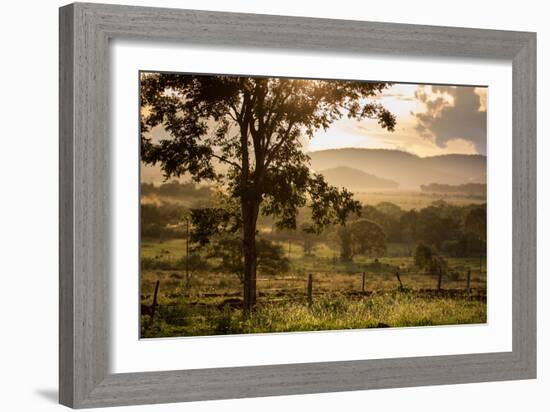 Sunset at the Gate of a Bonito Farm, with Rolling Hills in the Background-Alex Saberi-Framed Photographic Print