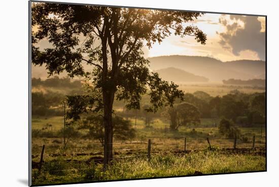 Sunset at the Gate of a Bonito Farm, with Rolling Hills in the Background-Alex Saberi-Mounted Photographic Print