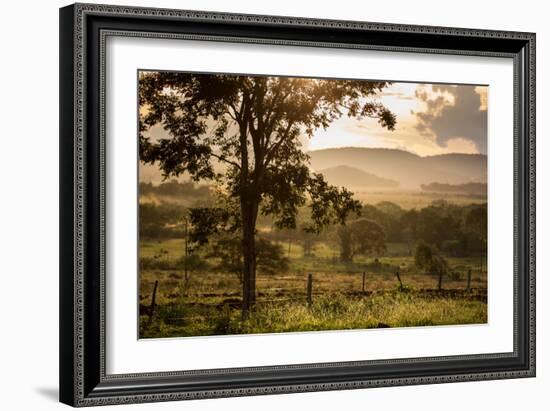 Sunset at the Gate of a Bonito Farm, with Rolling Hills in the Background-Alex Saberi-Framed Photographic Print