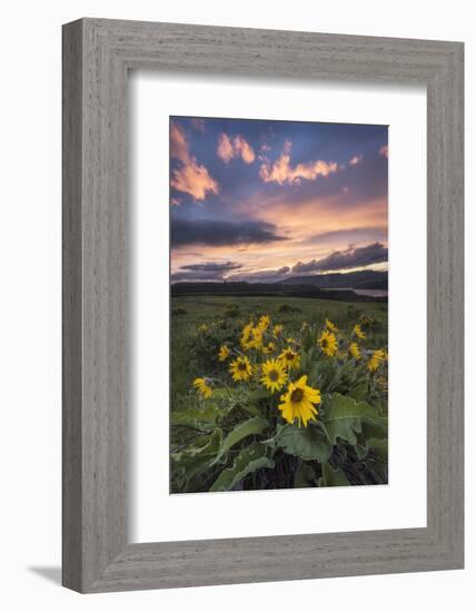 Sunset at the Gorge-Danny Head-Framed Photographic Print