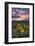 Sunset at the Gorge-Danny Head-Framed Photographic Print