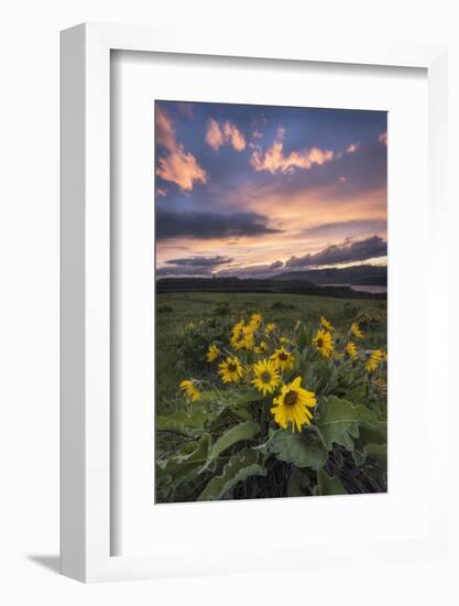 Sunset at the Gorge-Danny Head-Framed Photographic Print