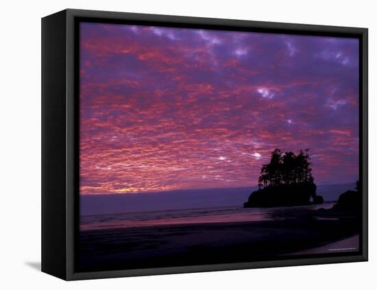 Sunset at Tounge Point, Olympic National Park, Washington, USA-null-Framed Premier Image Canvas