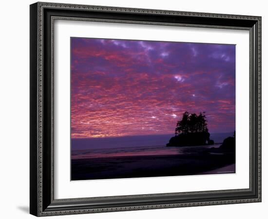 Sunset at Tounge Point, Olympic National Park, Washington, USA-null-Framed Photographic Print
