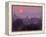 Sunset, Bagan (Pagan), Myanmar (Burma), Asia-Jochen Schlenker-Framed Premier Image Canvas