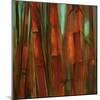 Sunset Bamboo II-Suzanne Wilkins-Mounted Art Print
