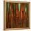 Sunset Bamboo II-Suzanne Wilkins-Framed Stretched Canvas