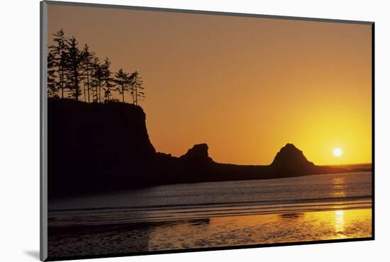 Sunset Beach State Park, Astoria, Oregon, USA-Gerry Reynolds-Mounted Photographic Print