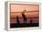 Sunset Beach Volleyball-Mitch Diamond-Framed Premier Image Canvas