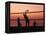 Sunset Beach Volleyball-Mitch Diamond-Framed Premier Image Canvas