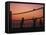 Sunset Beach Volleyball-Mitch Diamond-Framed Premier Image Canvas