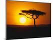 Photographic Print