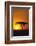 Sunset behind a Tree-DLILLC-Framed Photographic Print