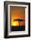 Sunset behind a Tree-DLILLC-Framed Photographic Print