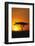 Sunset behind a Tree-DLILLC-Framed Photographic Print