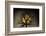 Sunset behind a tree-Marco Carmassi-Framed Photographic Print