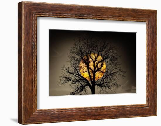 Sunset behind a tree-Marco Carmassi-Framed Photographic Print